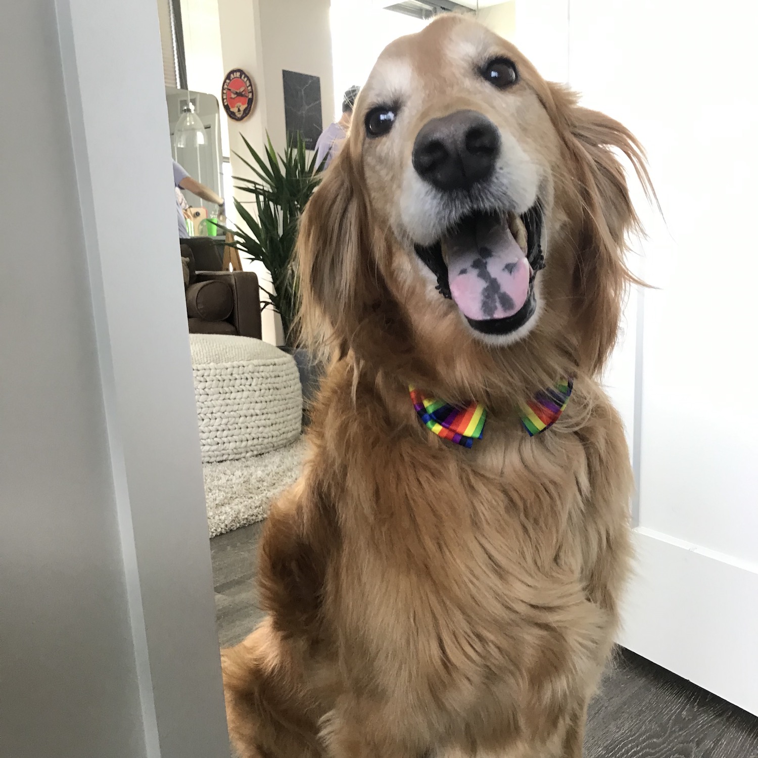 Scouty Photo